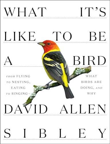 David Allen Sibley What It's Like to Be a Bird