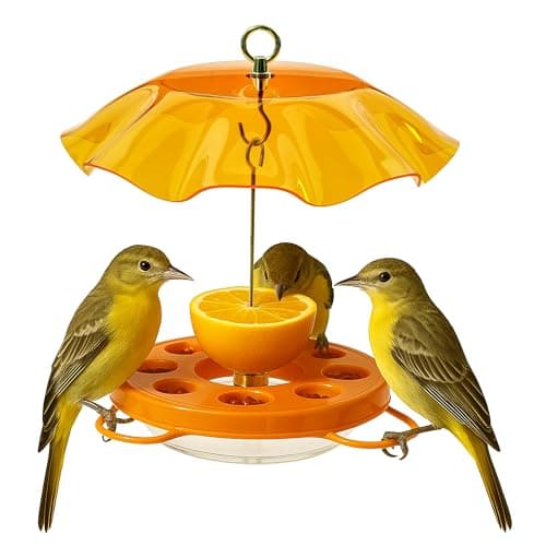 Birds Choice Oriolefest Oriole Nectar Feeder with Cover, 12 oz (NP1012)