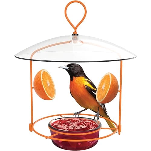 Nature's Way Wire and Glass Oriole Feeder with Protective Baffle (OFM1)