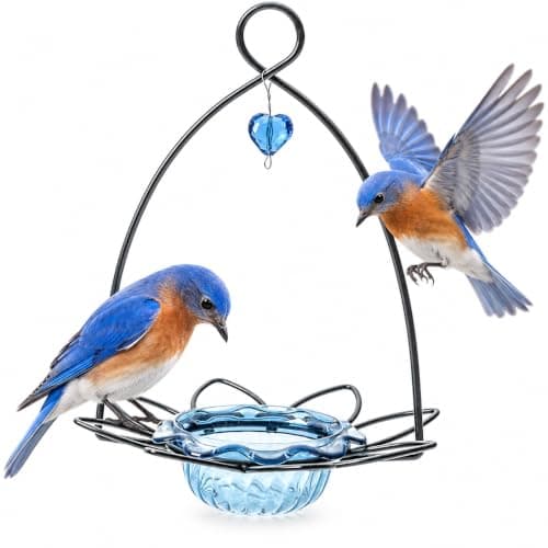 Birds Choice Bluebird Flower Feeder (BBFF)