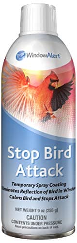 WindowAlert Stop Bird Attack Spray (9 oz)