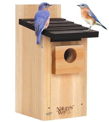 Nature's Way Cedar Bluebird House