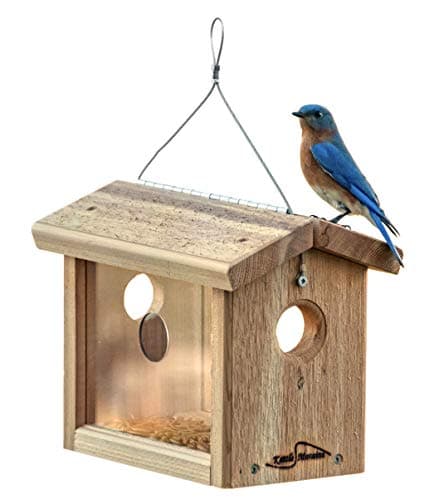 Kettle Moraine Cedar Hanging Bluebird Feeder (8515)