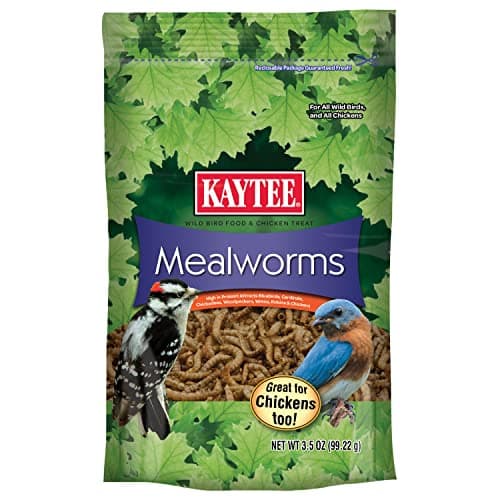 Kaytee Mealworms, 3.5 oz