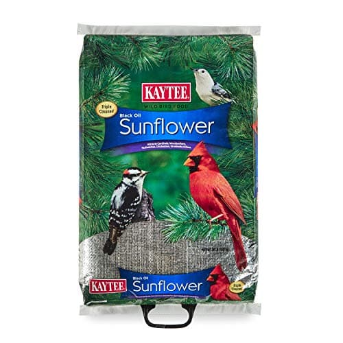 Kaytee Black Oil Sunflower, 20 lb