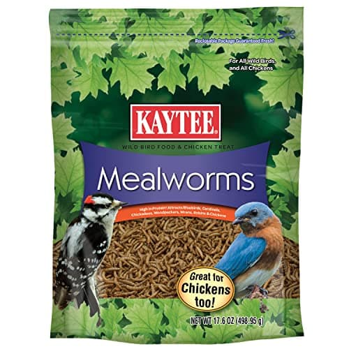 Kaytee Mealworms, 17.6 oz