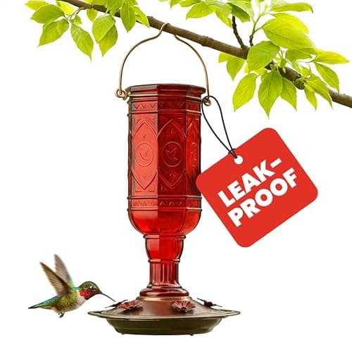 More Birds Glass Hummingbird Feeder