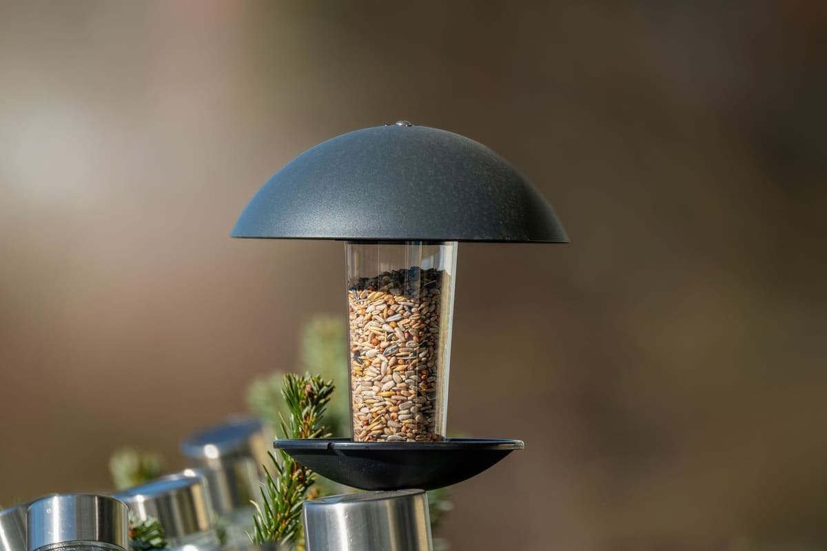 A dome-topped tube feeder on a post, its clear chamber showing the mixed seed inside