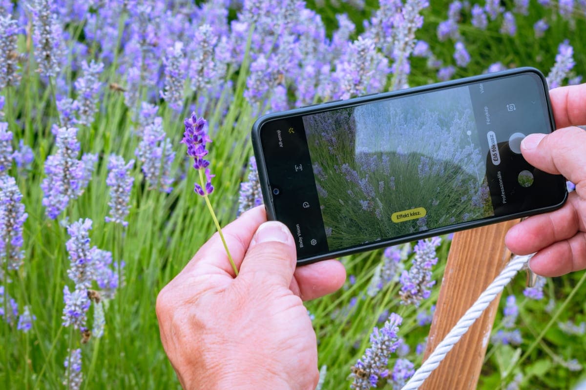 A hand holding a smartphone in a sunlit garden