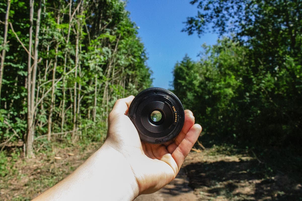 A hand holding a camera lens in a green forest