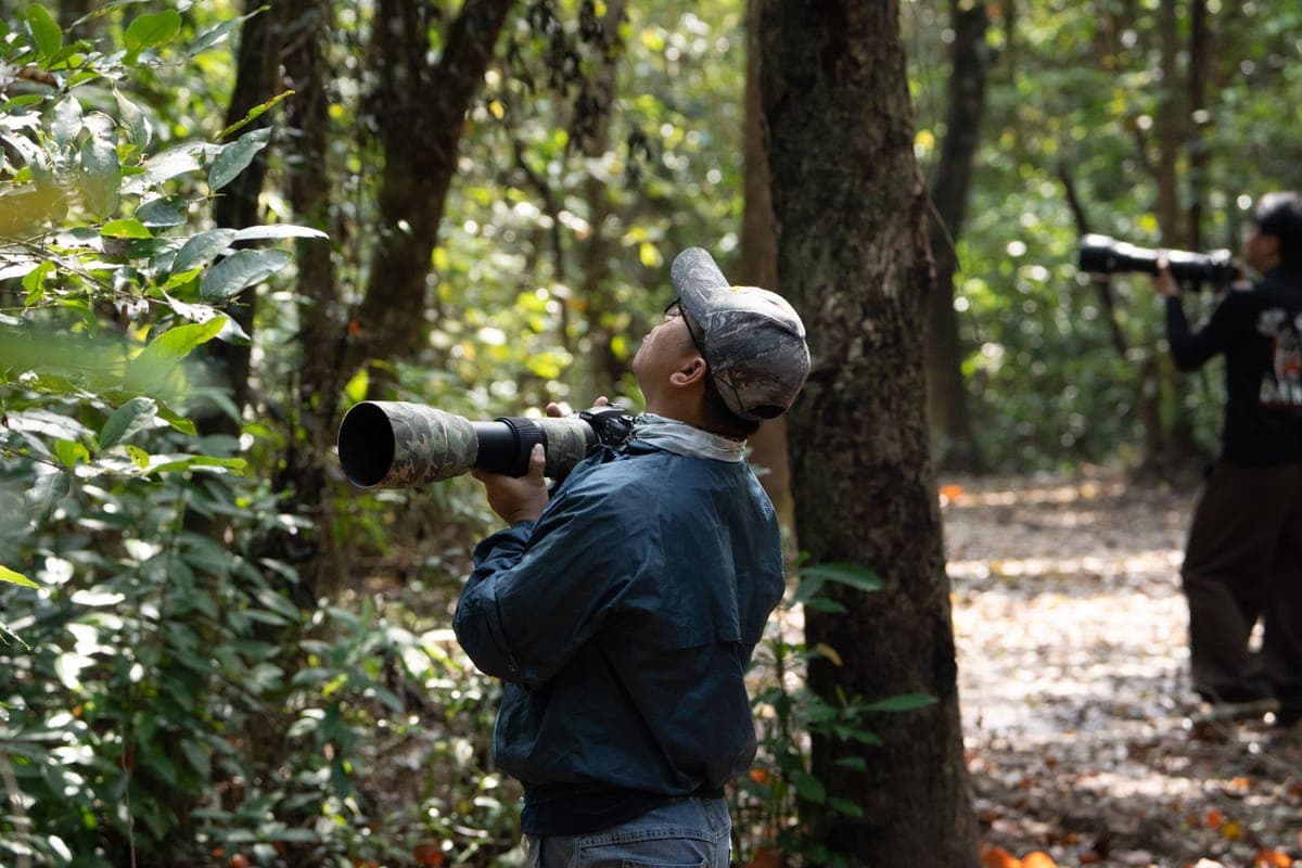 Two birdwatchers with optics in a green forest