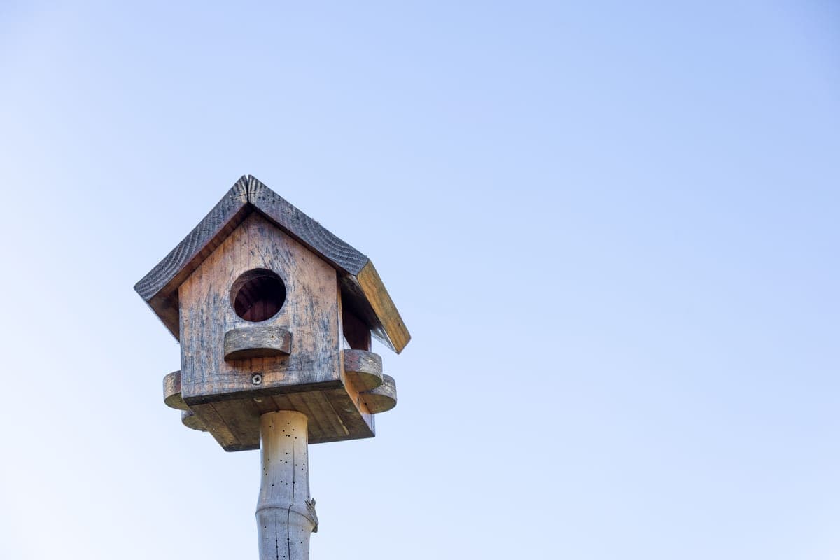 A wooden birdhouse mounted on a pole against a blue sky