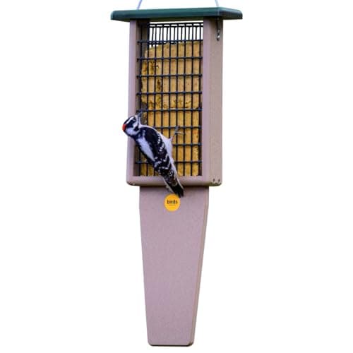 Birds Choice Suet Feeder with Tail Prop for Two Cakes (SNPS)