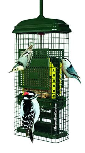 Brome Squirrel Buster Suet (model 1106)